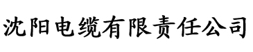 鲁先生在线电缆厂logo